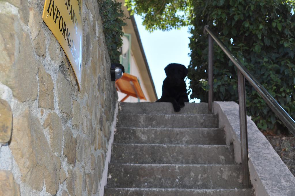 Villa Agriturismo Il Cerrosughero à Scarlino Extérieur photo